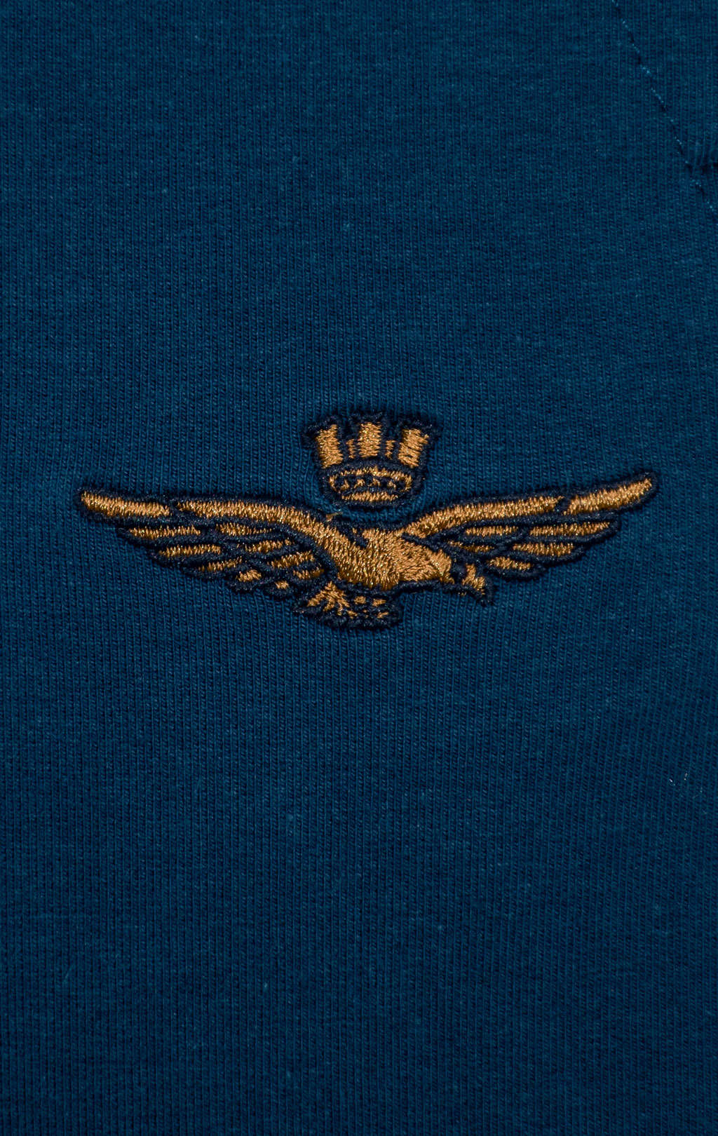 Брюки спортивные AERONAUTICA MILITARE FW 25/26/BD titan avio (PF 1008) 