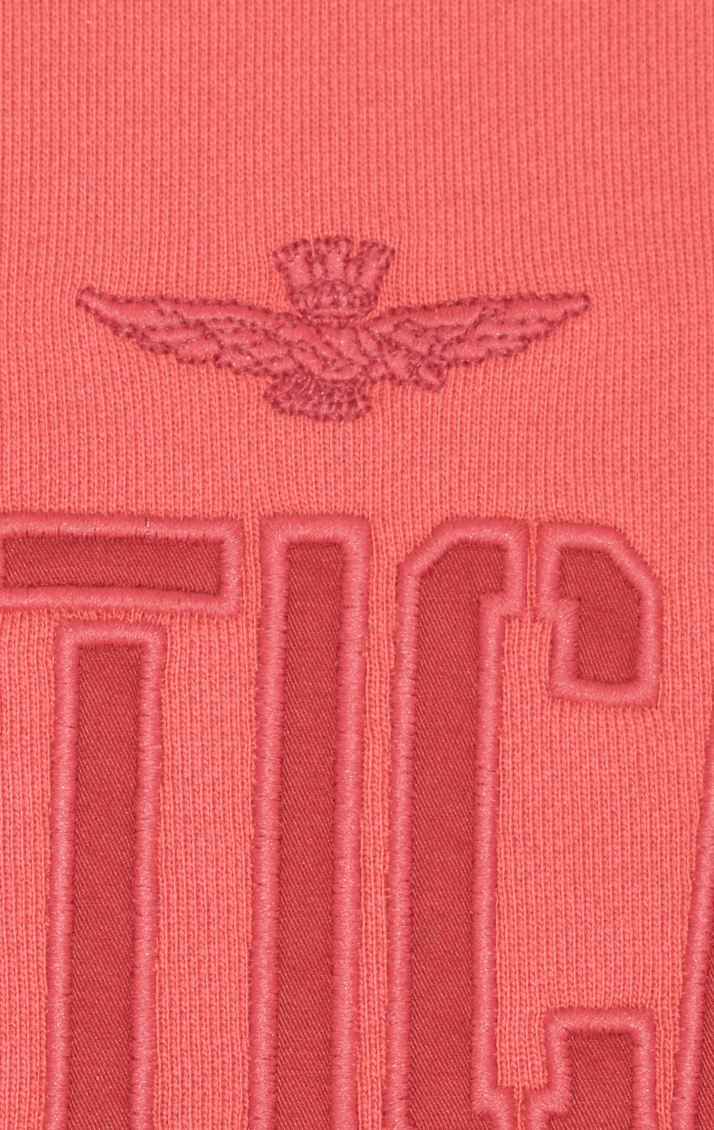 Свитшот AERONAUTICA MILITARE FW 23/24/TR pink (FE 1804) 