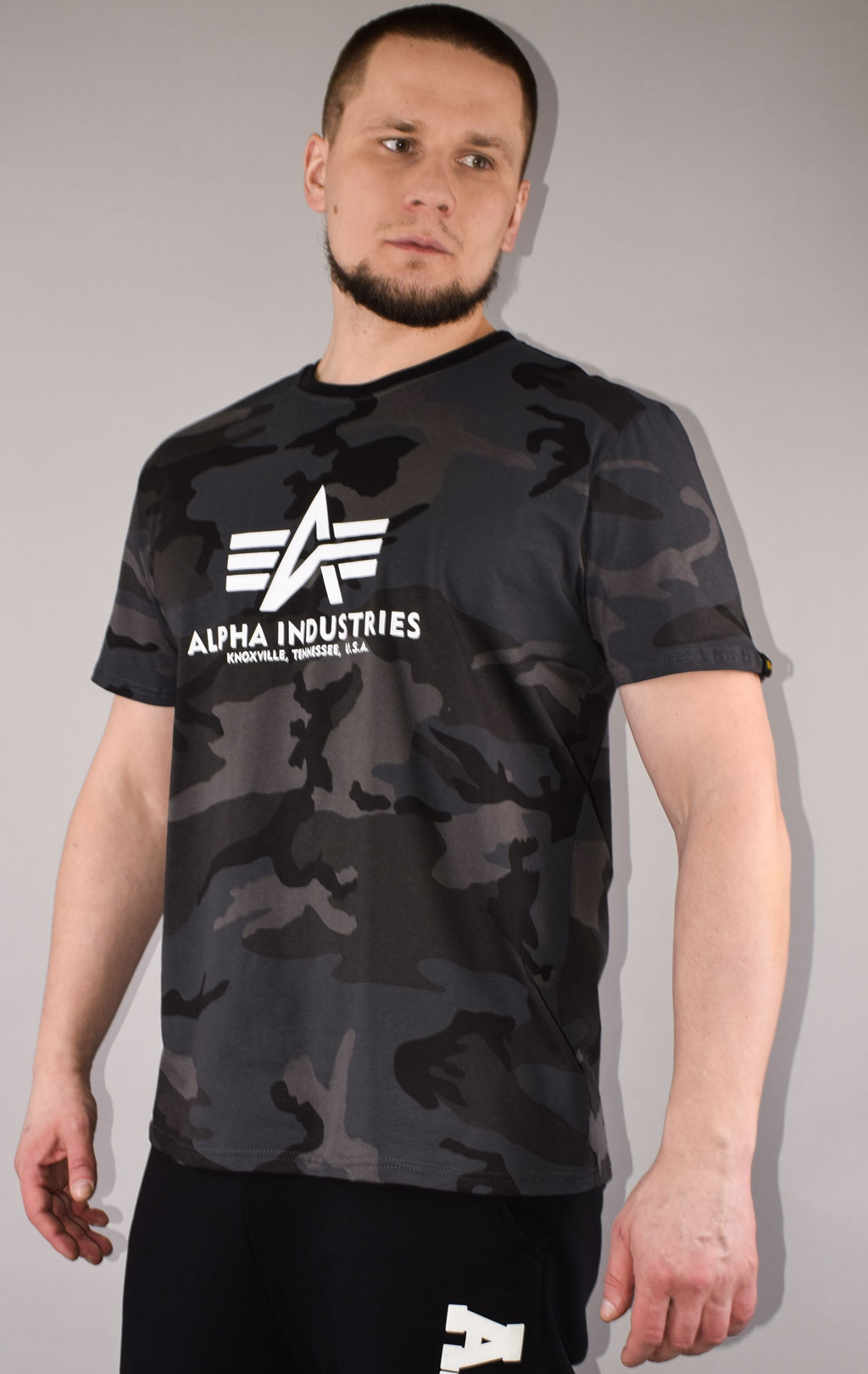 Футболка ALPHA INDUSTRIES BASIC T CAMO black camo 