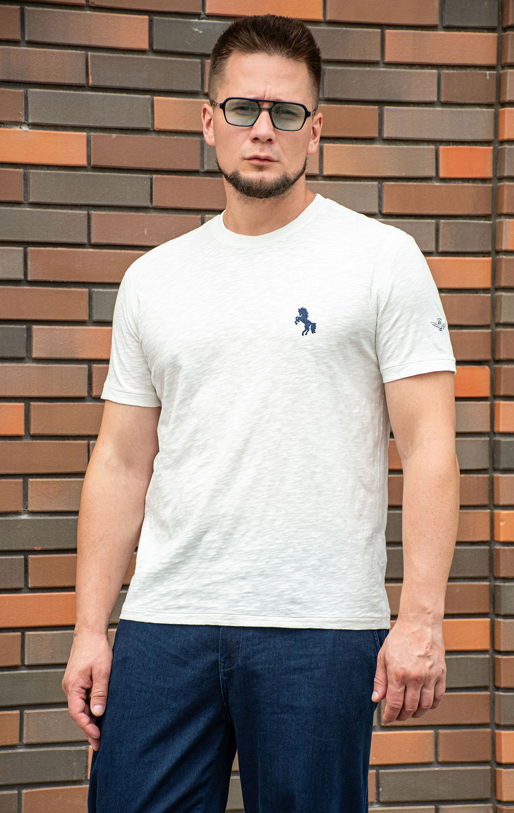 Футболка AERONAUTICA MILITARE SS 25 m/TR milk white (TS 2426) 