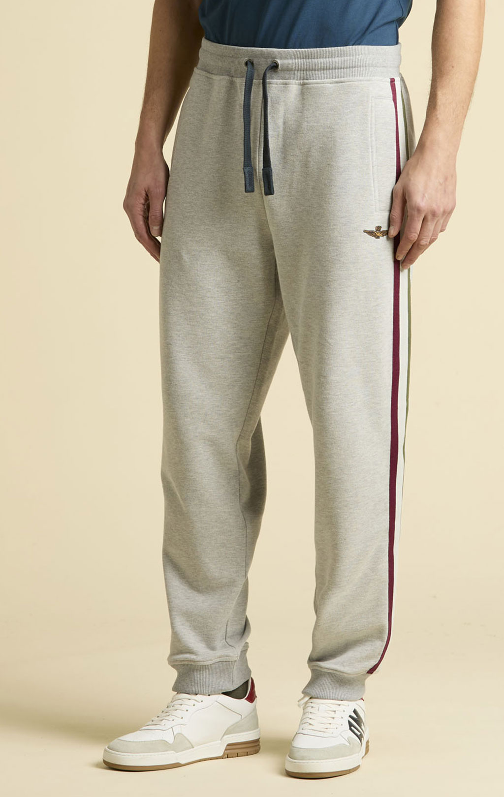 Брюки спортивные AERONAUTICA MILITARE FW 25/26/TR grigio melange (PF 1005) 