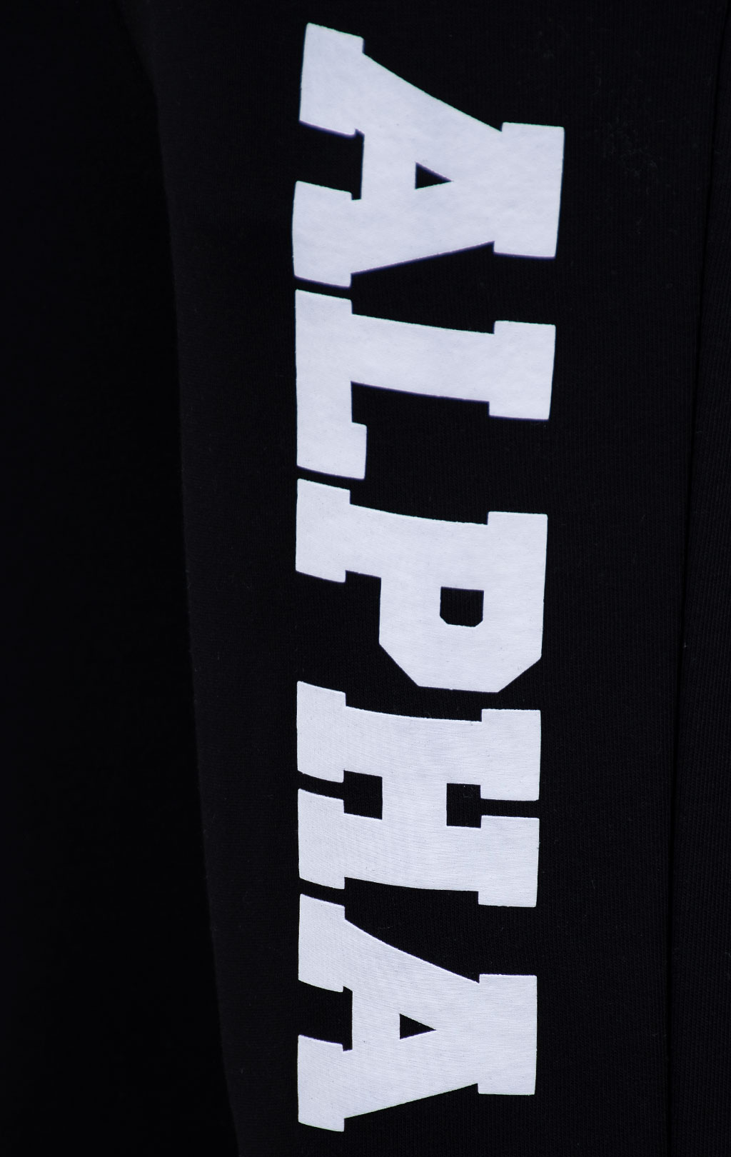 Брюки спортивные джоггеры ALPHA INDUSTRIES BIG LETTERS JOGGER black 