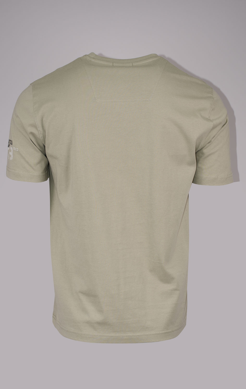 Футболка AERONAUTICA MILITARE SS 24/BD sage green (TS 2214) 