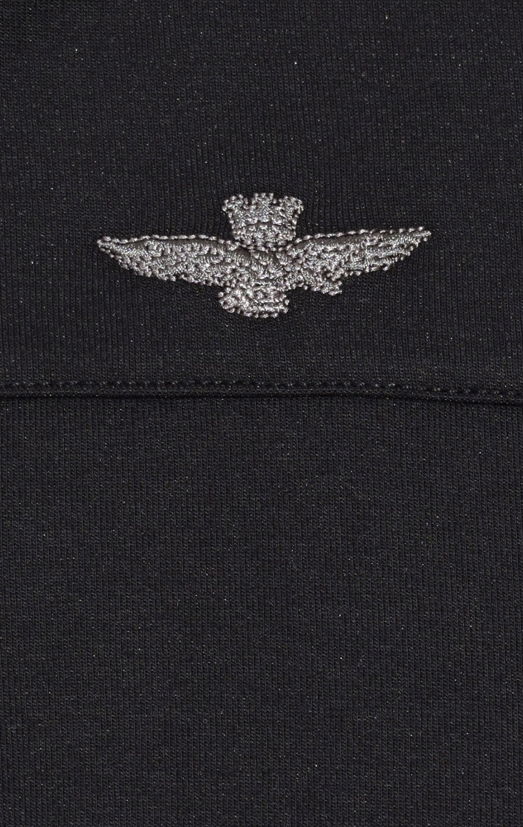 Толстовка с капюшоном AERONAUTICA MILITARE SS 21/TR jet black (FE 1595) 