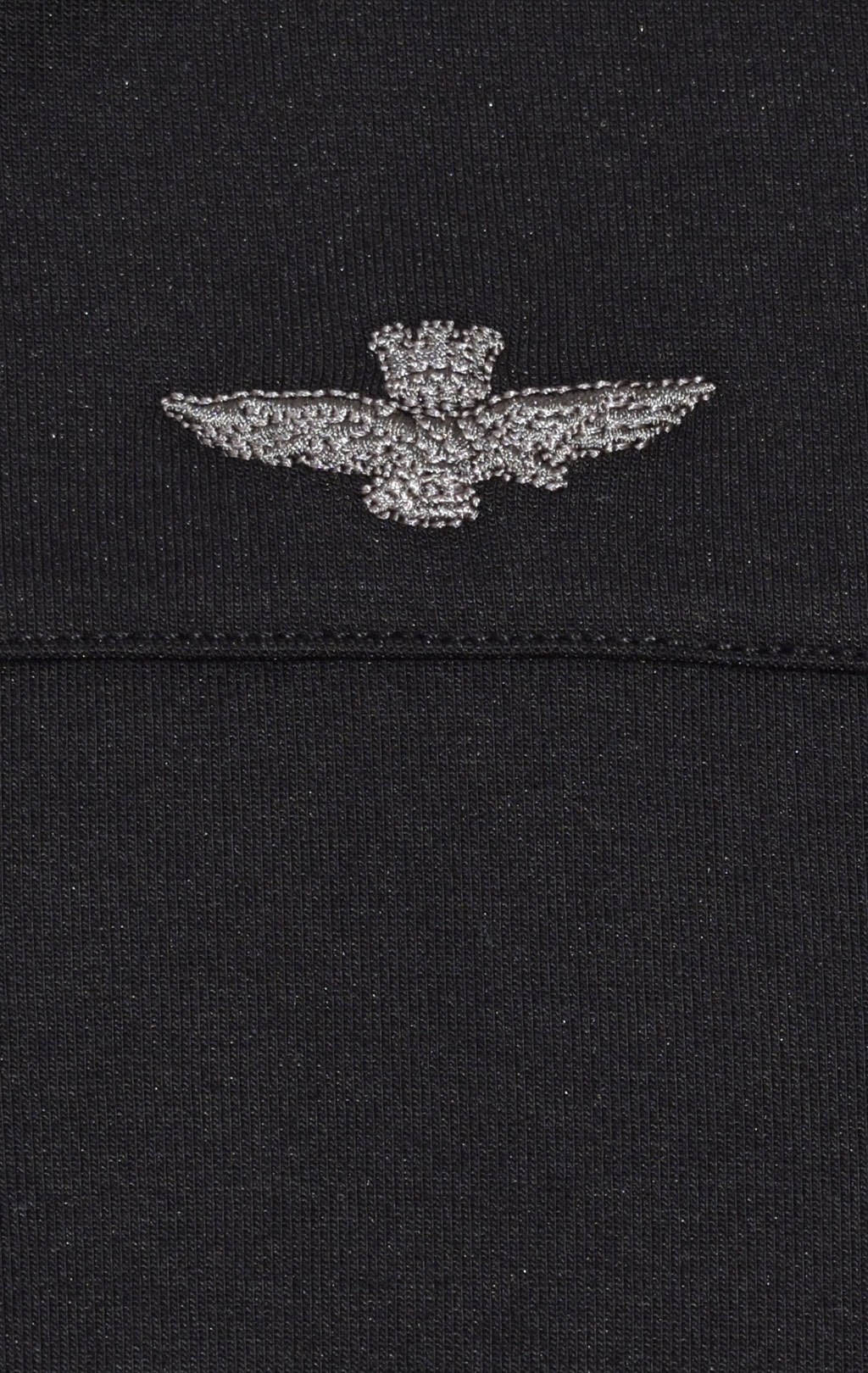 Толстовка с капюшоном AERONAUTICA MILITARE SS 21/TR jet black (FE 1595) 