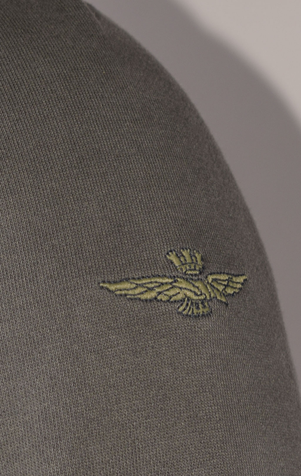 Толстовка с капюшоном AERONAUTICA MILITARE ANTARCTICA FW 23/24/IN dark green (FE 1818)