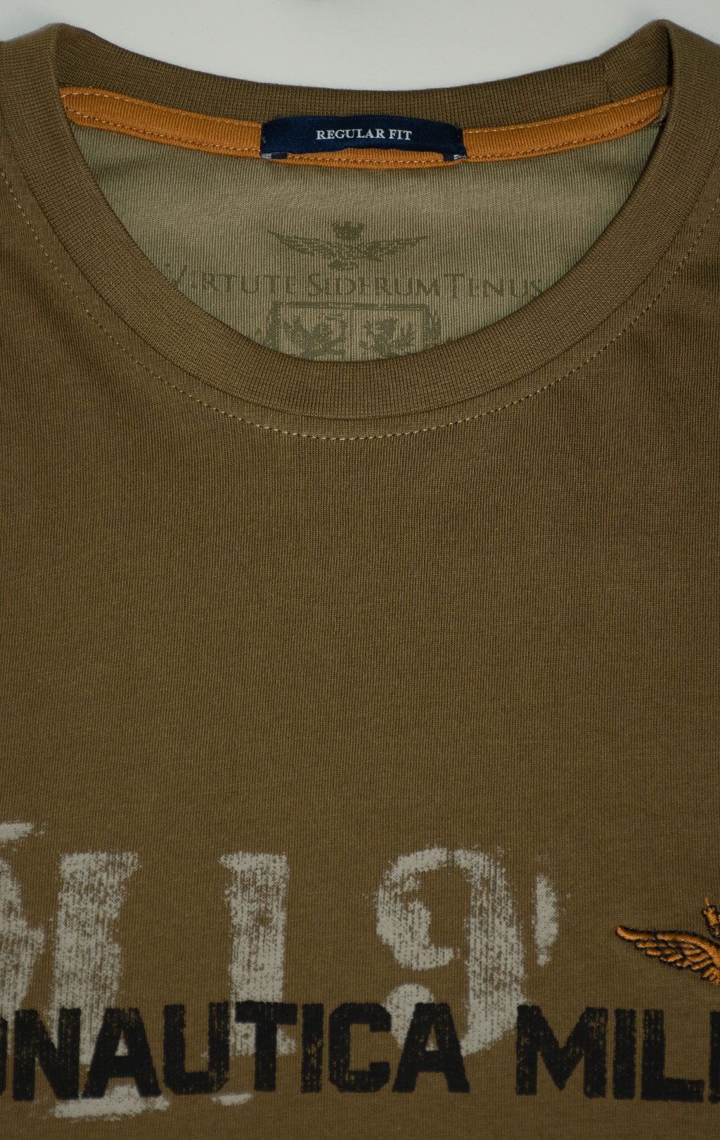 Футболка AERONAUTICA MILITARE FW 25/26/BD dark olive (TS 2479) 