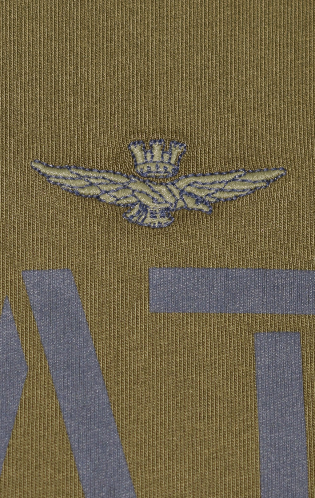 Футболка AERONAUTICA MILITARE big size FW 23/24/TR off green (TS 2128) 