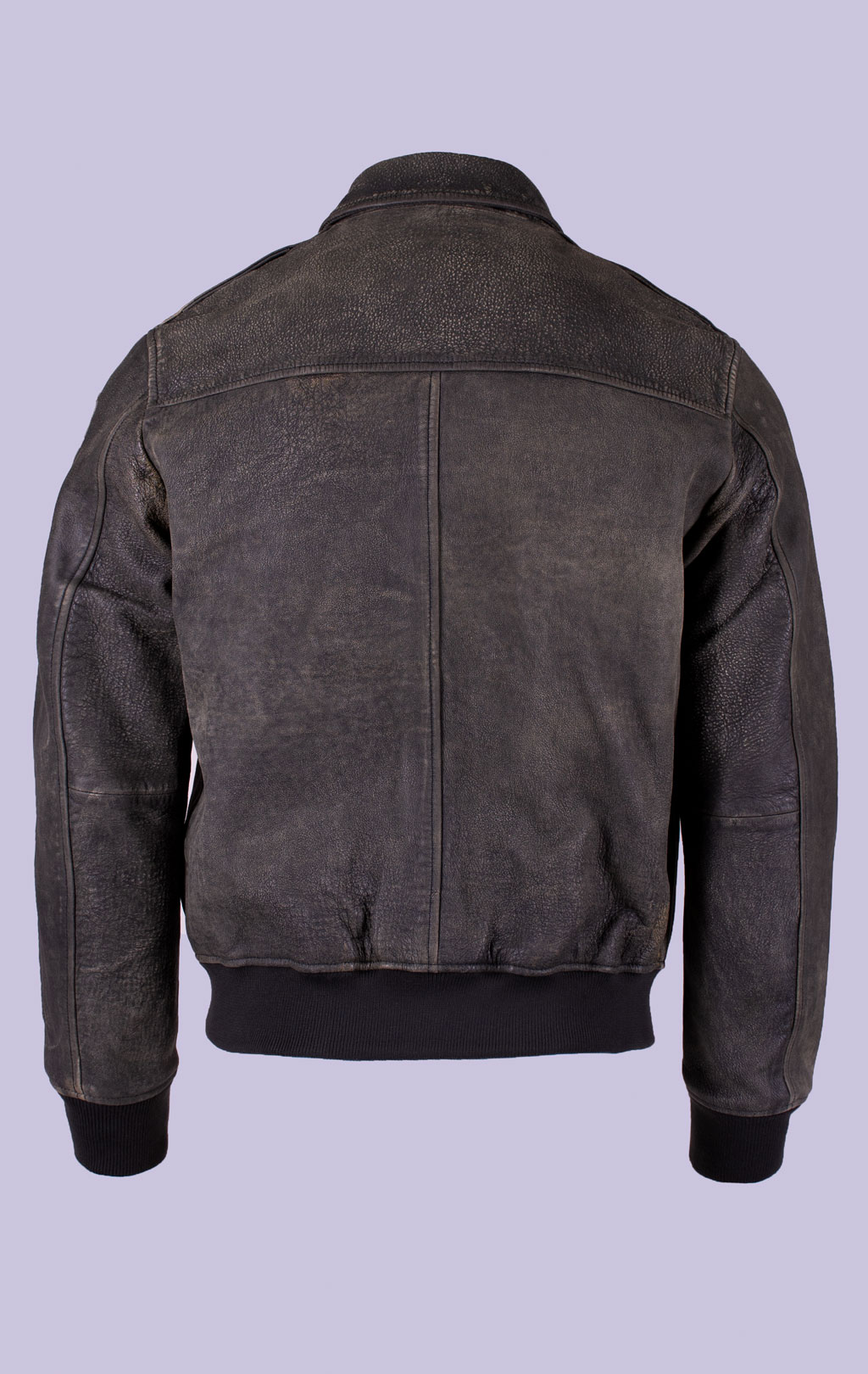 Куртка-пилот BLAUER ALLEN кожа FW 25/26 black washed (L02312) 
