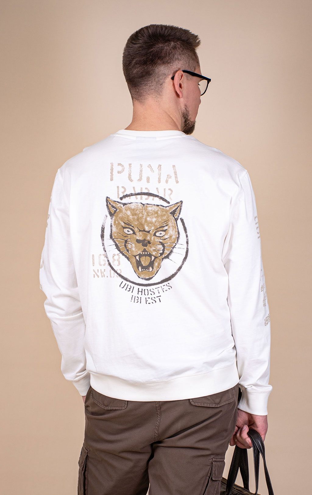 Свитшот AERONAUTICA MILITARE SS 26/TR off white (FE 2099) 