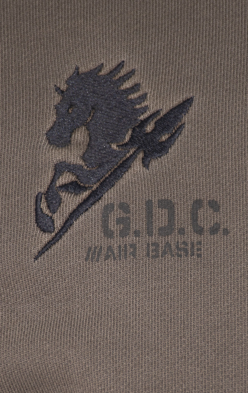 Олимпийка AERONAUTICA MILITARE FW 24/25/TR dark musk washed (FE 1941) 