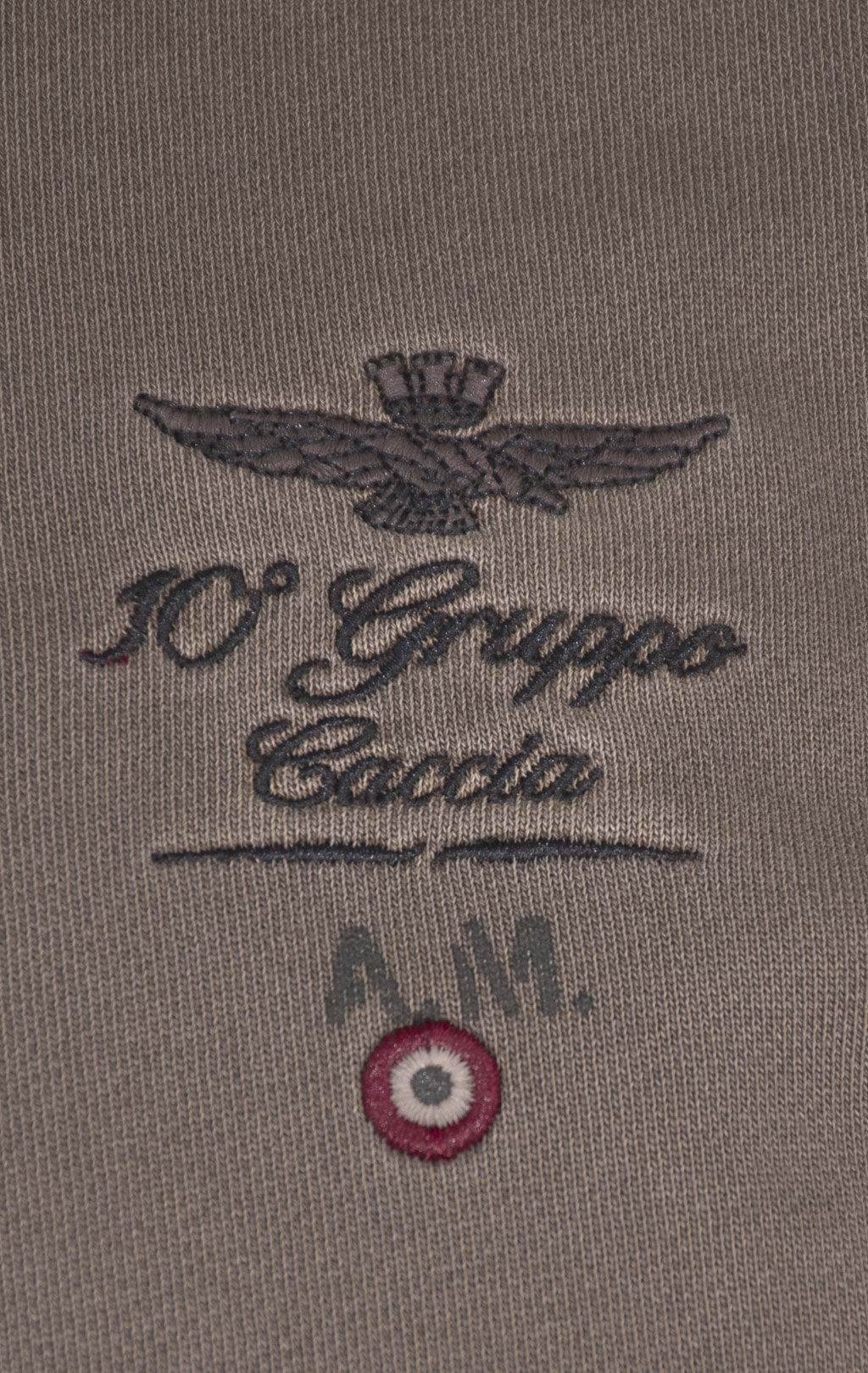 Олимпийка AERONAUTICA MILITARE FW 24/25/TR dark musk washed (FE 1941) 