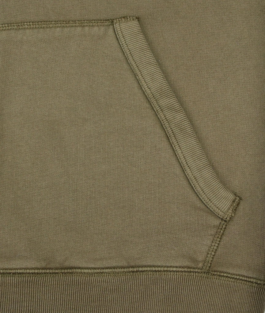 Толстовка с капюшоном AERONAUTICA MILITARE dark olive (FE 1249) 