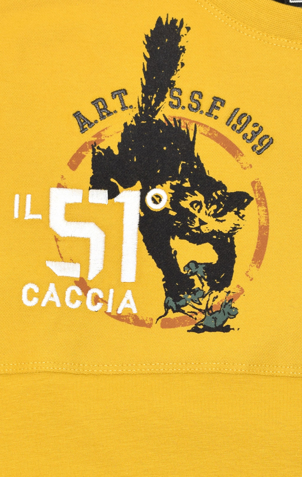 Лонгслив AERONAUTICA MILITARE FW 20/21/TR giallo (TS 1825) 