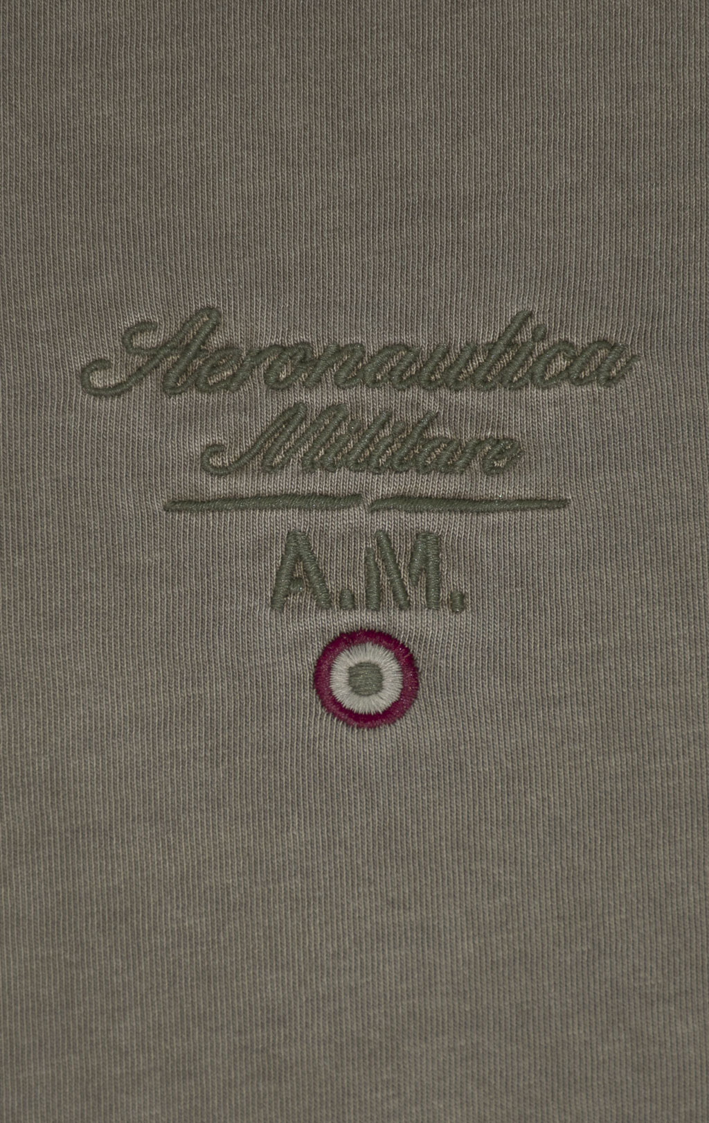 Футболка AERONAUTICA MILITARE big size SS 25 m/TR military olive washed (TS 2392) 