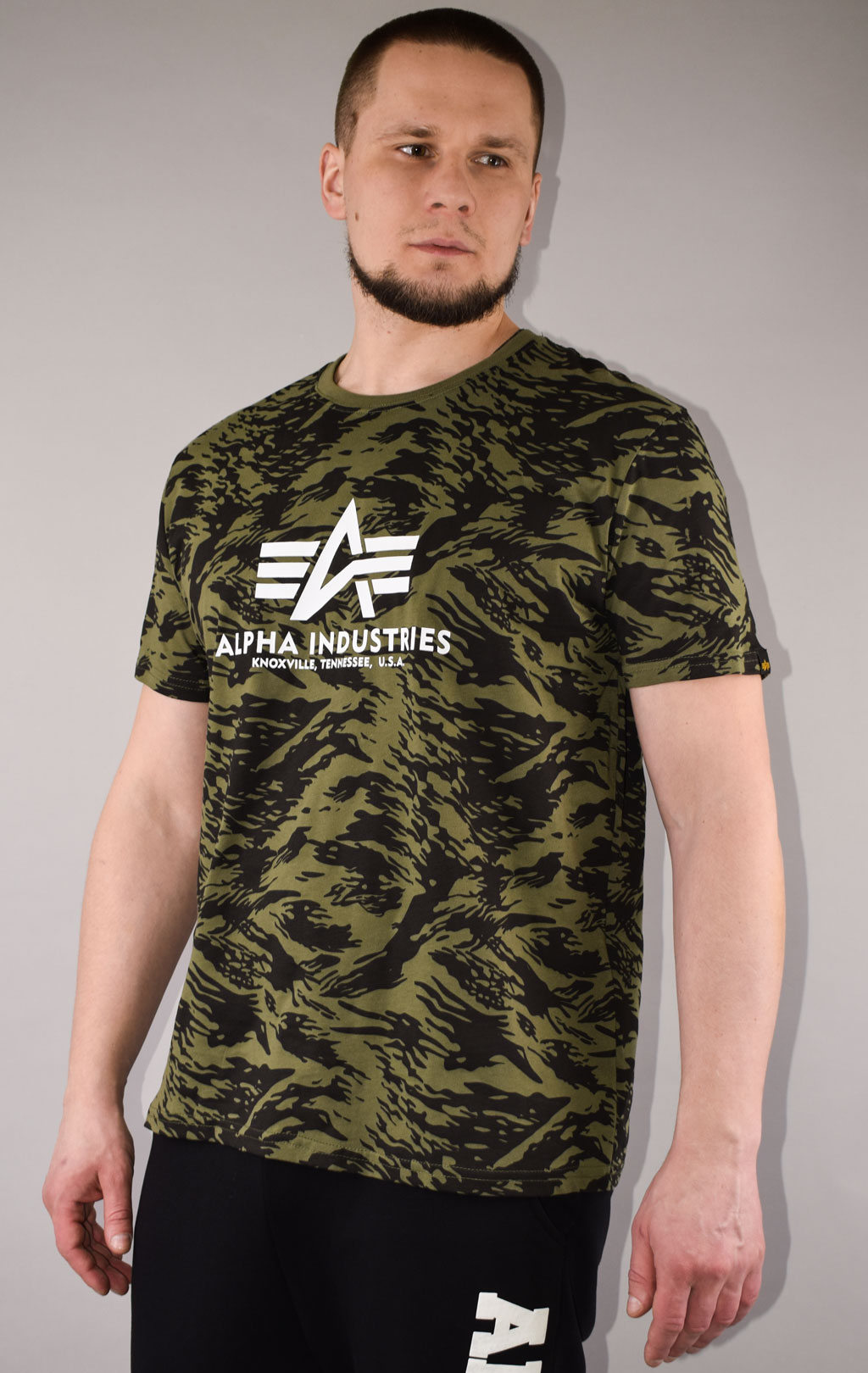 Футболка ALPHA INDUSTRIES BASIC T CAMO brushstroke green 