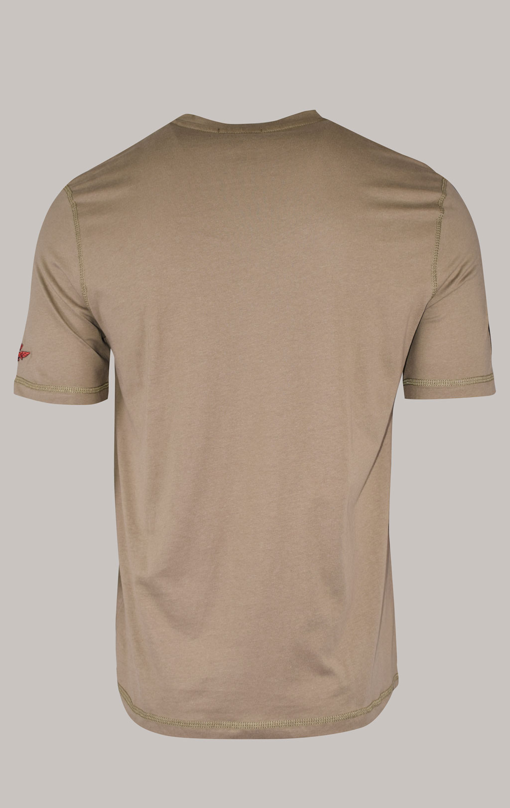 Футболка AERONAUTICA MILITARE FW 22/23/BD tortora (TS 2022) 