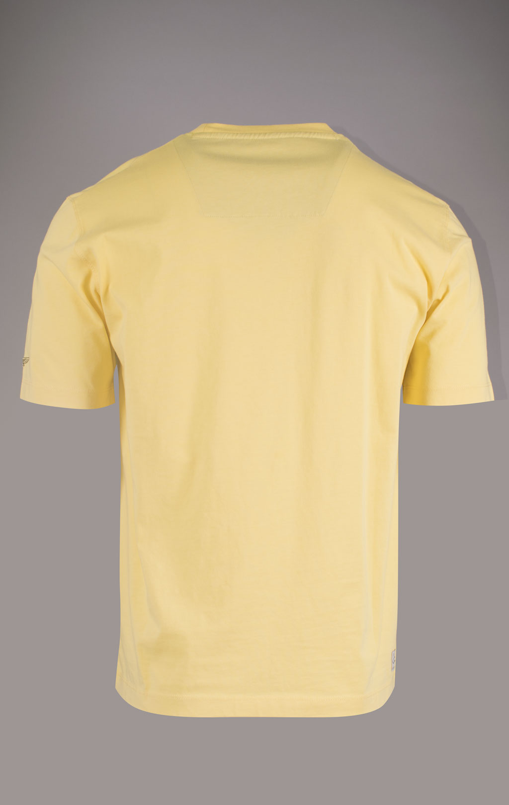 Футболка AERONAUTICA MILITARE SS 24/TR yellow (TS 2202) 