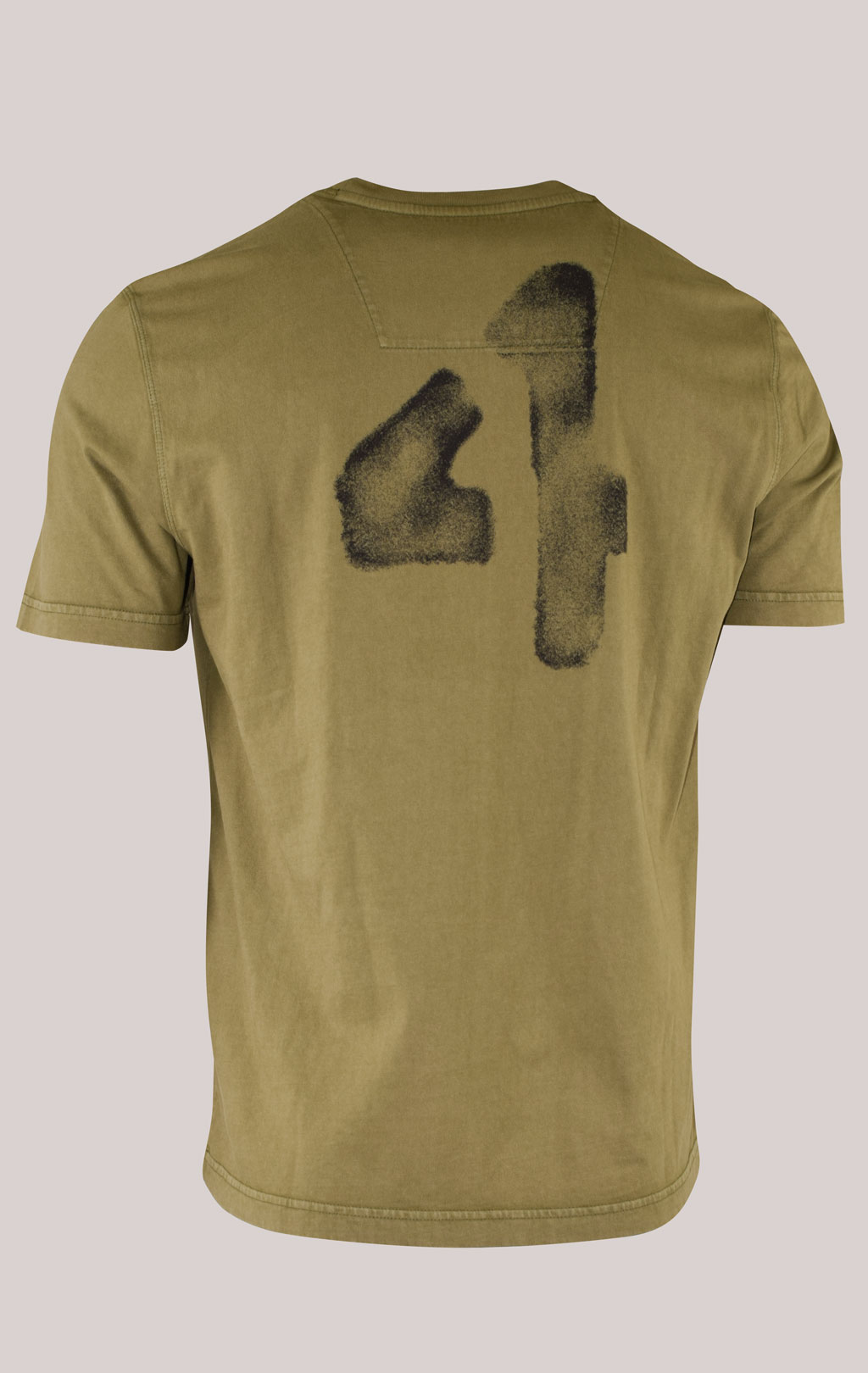 Футболка AERONAUTICA MILITARE SS 22/IN verde militare (TS 1957) 