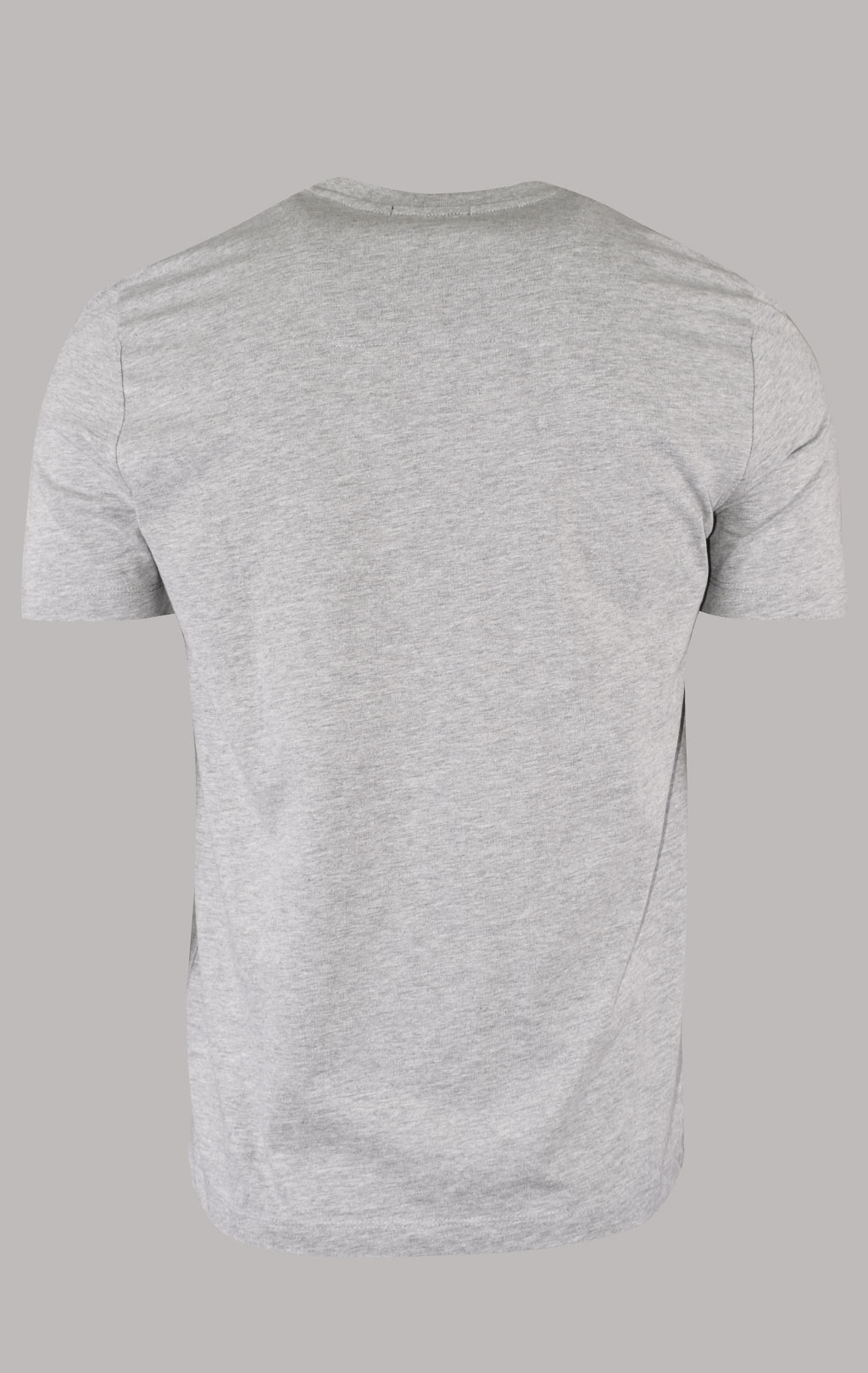 Футболка AERONAUTICA MILITARE SS 23/BD grigio melange (TS 2085)