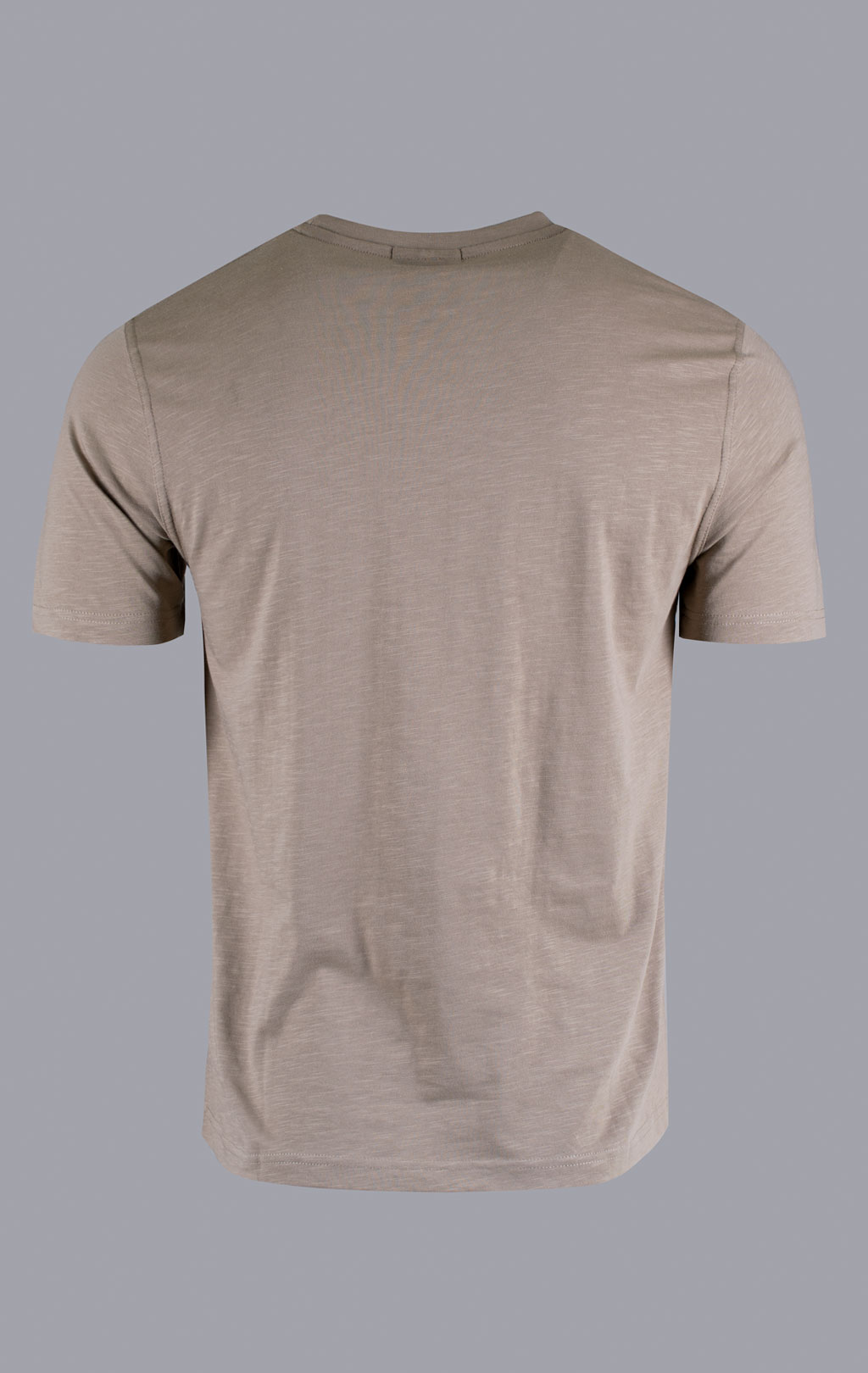 Футболка AERONAUTICA MILITARE big size SS 26/BD winter twig (TS 2524) 