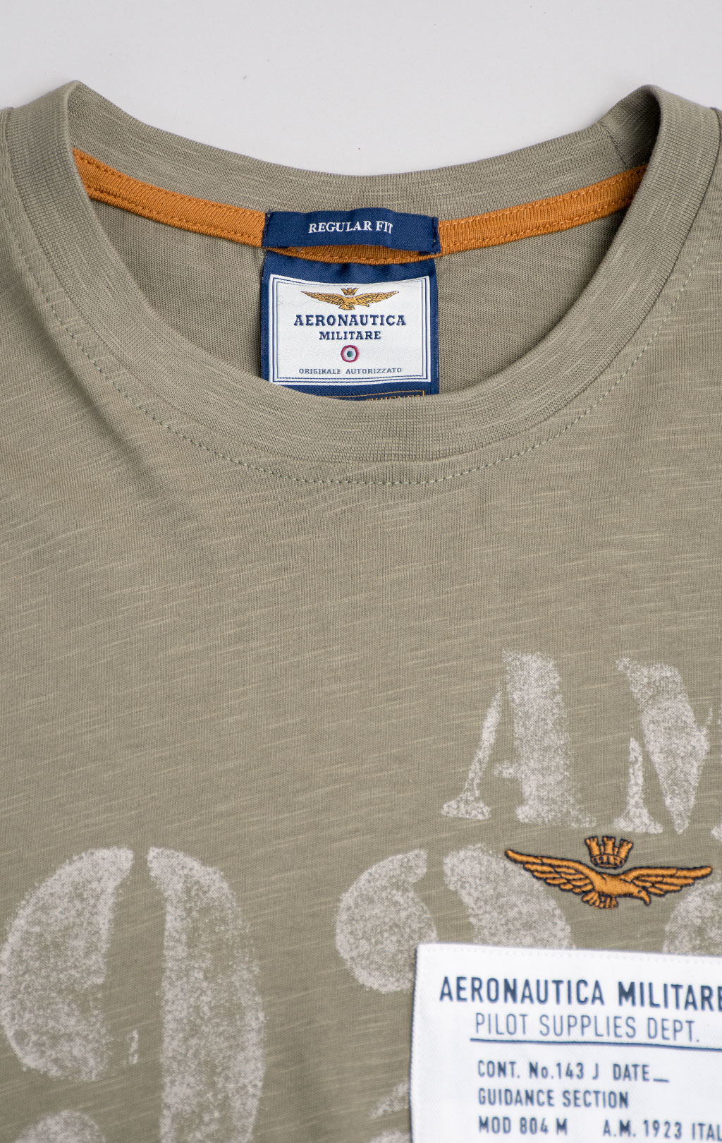 Футболка AERONAUTICA MILITARE big size SS 26/BD lichen green (TS 2524) 