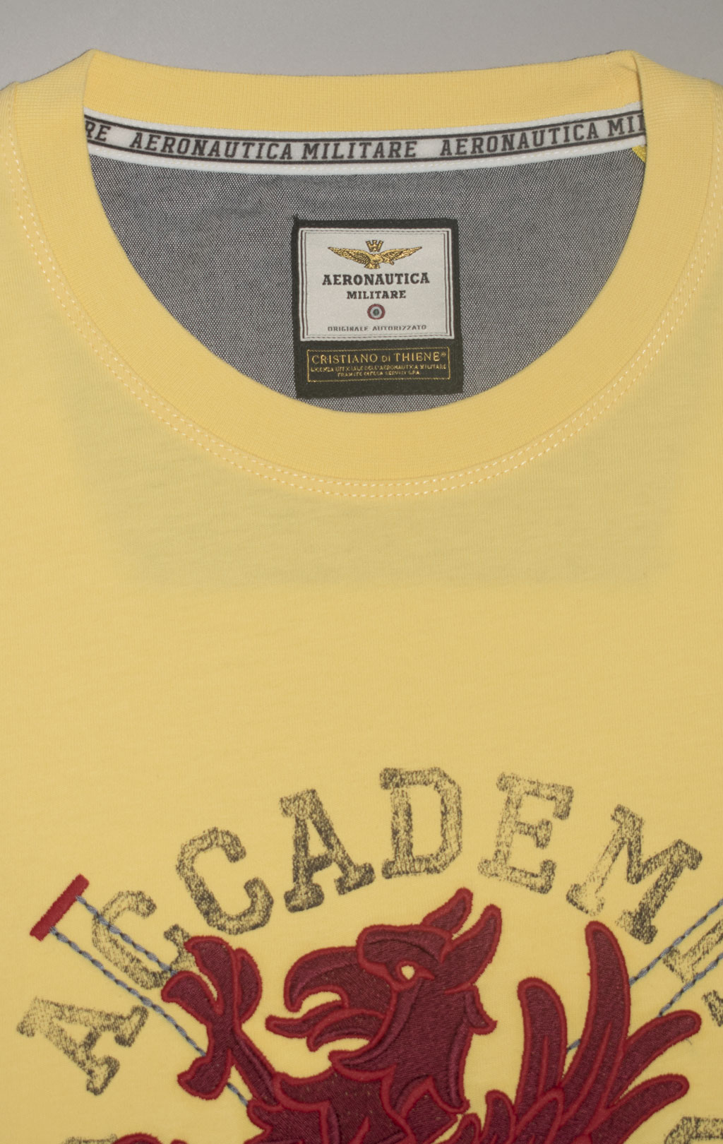 Футболка AERONAUTICA MILITARE SS 24/TR yellow (TS 2202) 