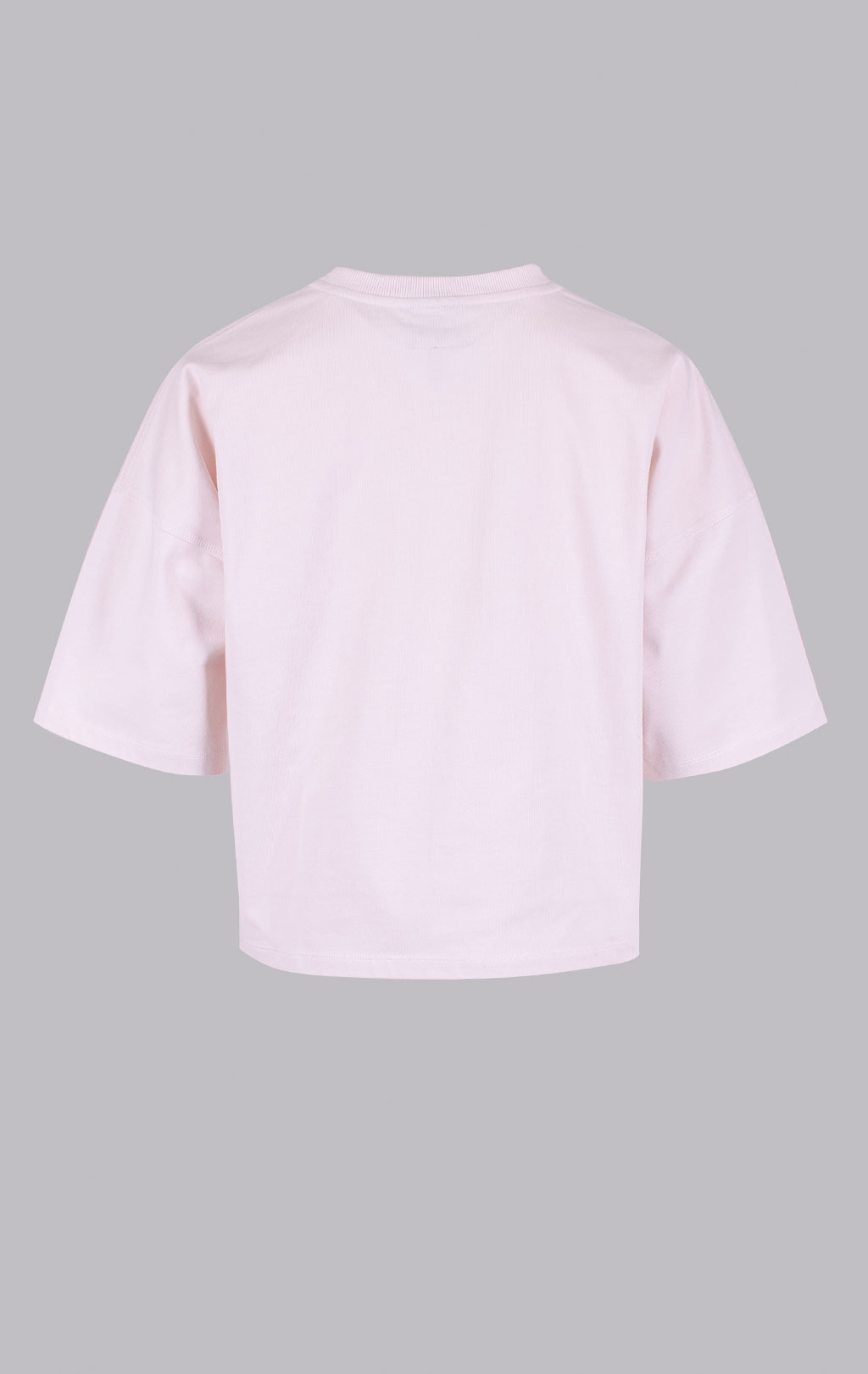 Женская футболка-кроп PARAJUMPERS ROZANNE TEE SS 26 blush white 
