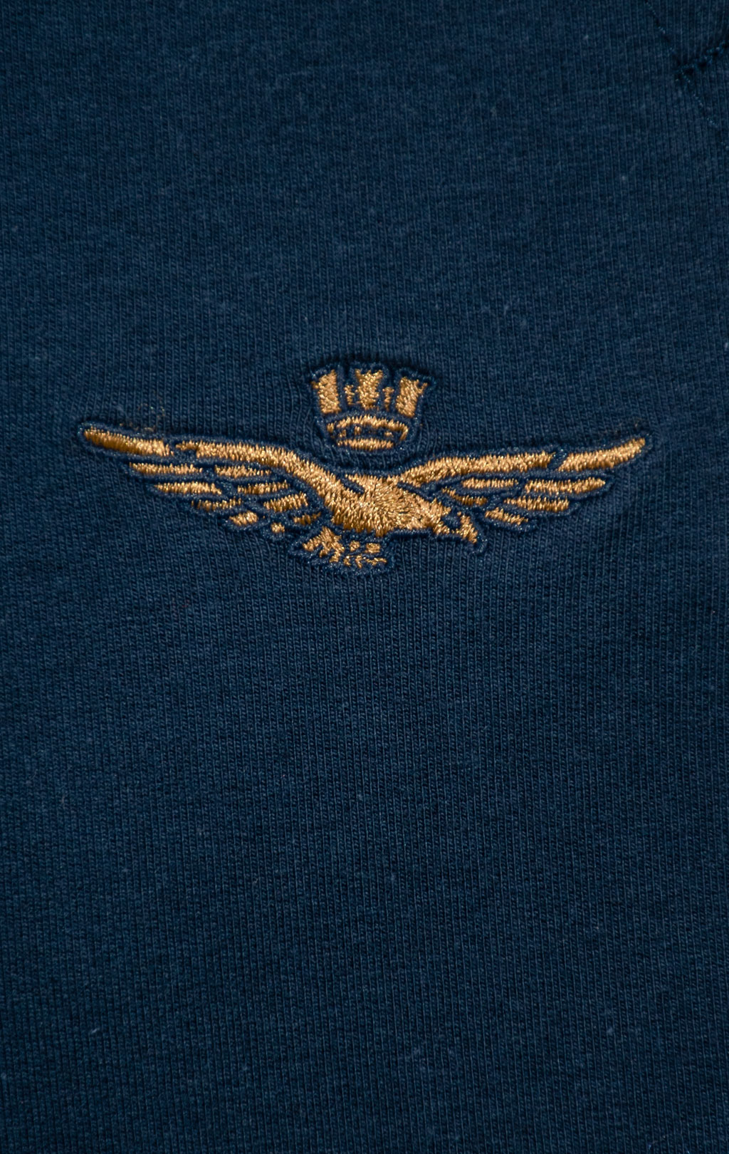 Брюки спортивные AERONAUTICA MILITARE big size FW 25/26/BD blue navy (PF 1008) 