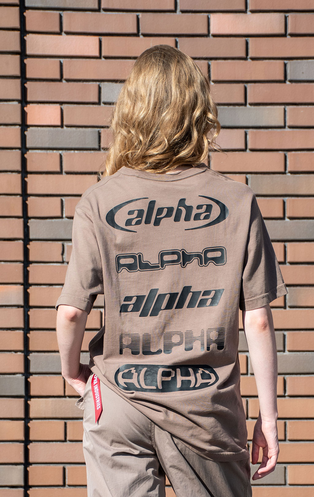 Футболка ALPHA INDUSTRIES ALPHA LOGOS TEE плотная FW 24/25 coyote brown 