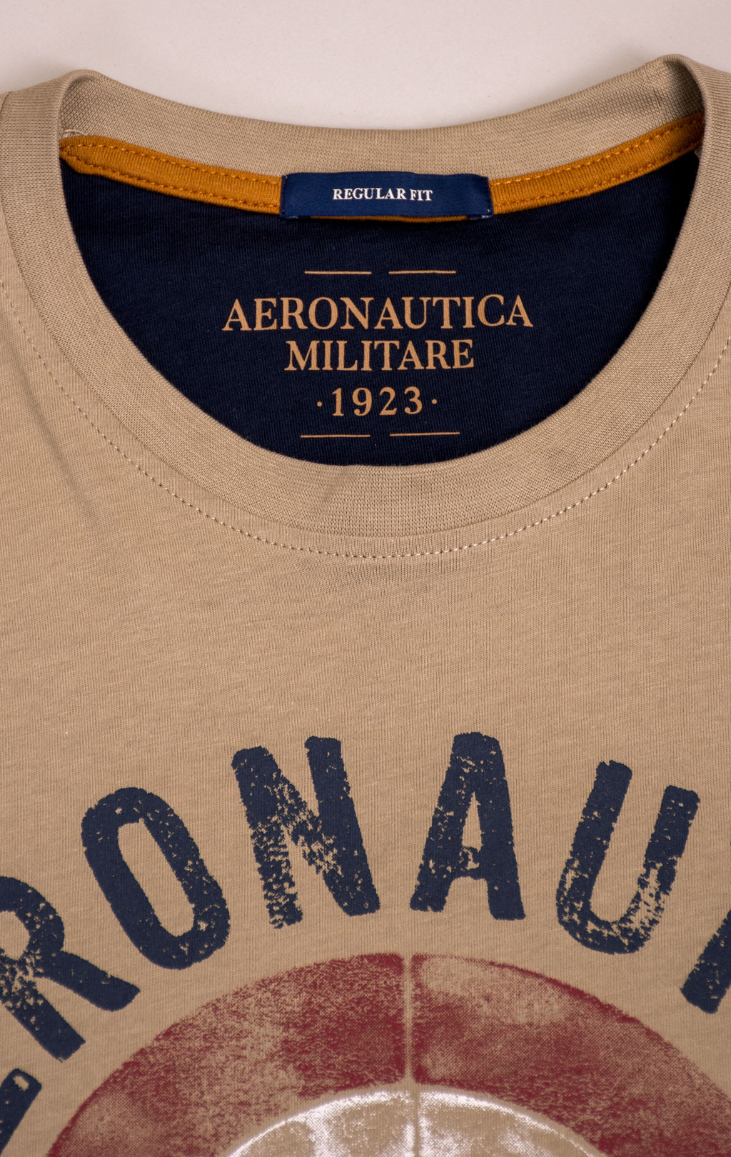 Футболка AERONAUTICA MILITARE big size SS 26/BD winter twig (TS 2538) 