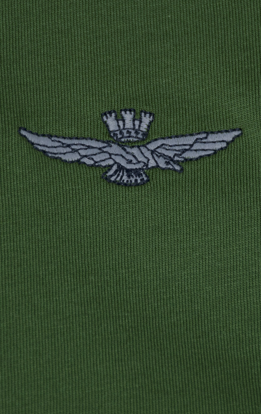 Футболка AERONAUTICA MILITARE SS 25 m/BD forest green (TS 2376) 