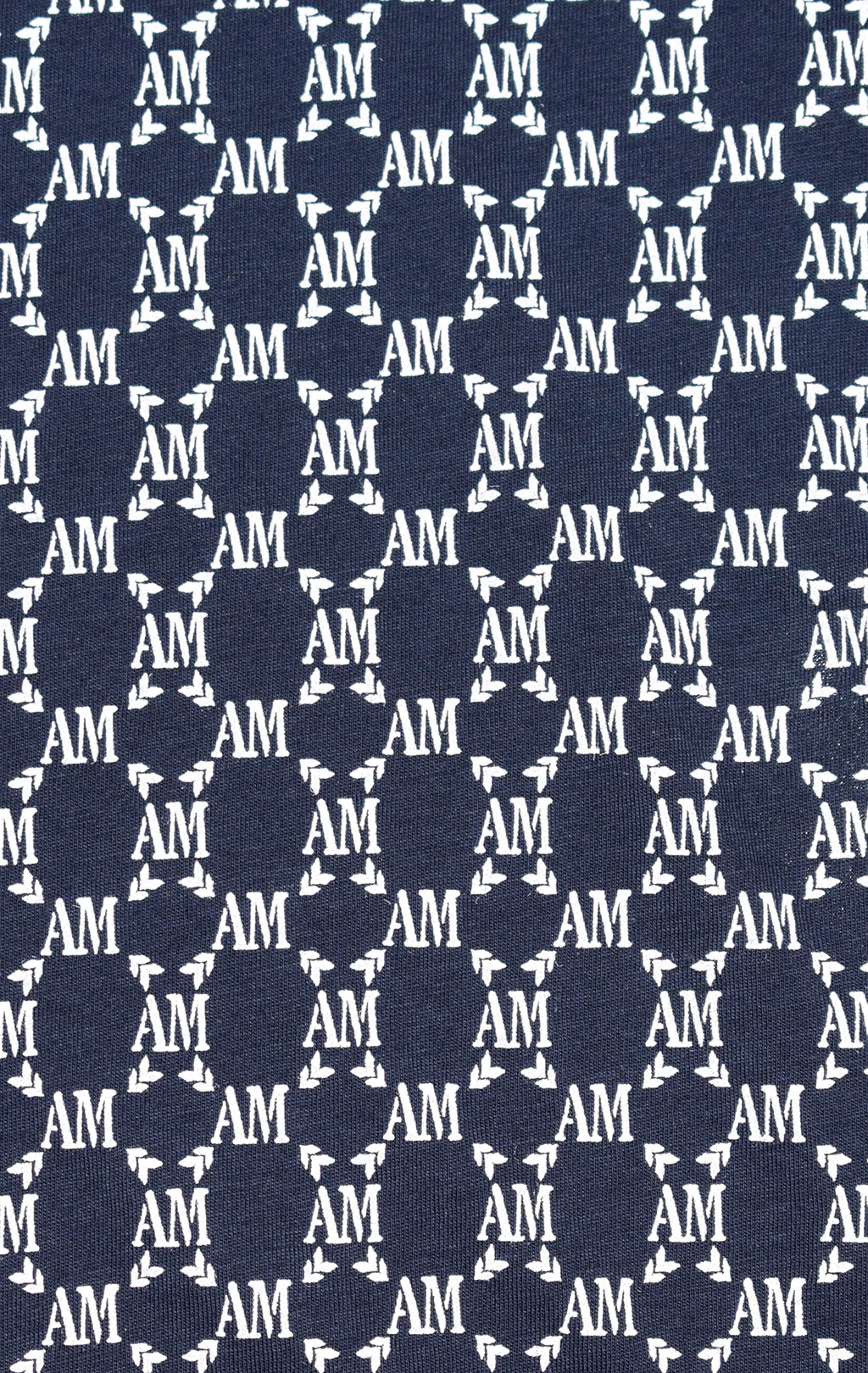 Женская футболка AERONAUTICA MILITARE SS 20/PT blue navy (TS 1737) 