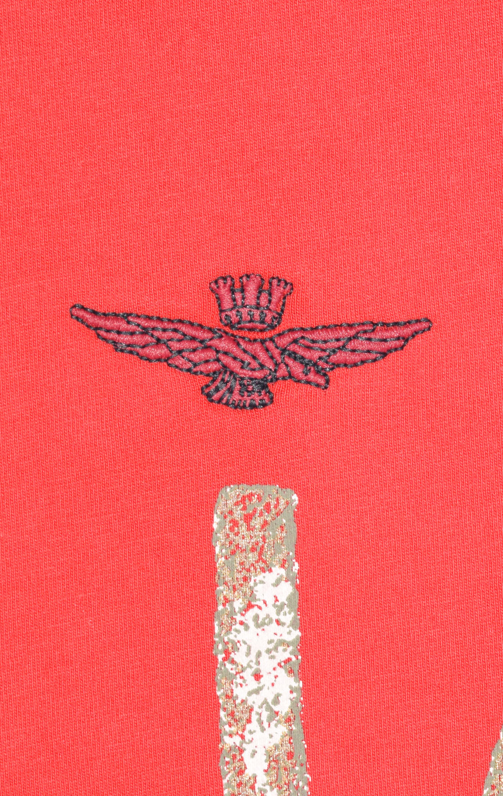 Футболка AERONAUTICA MILITARE SS 23/TR rosso (TS 2069) 