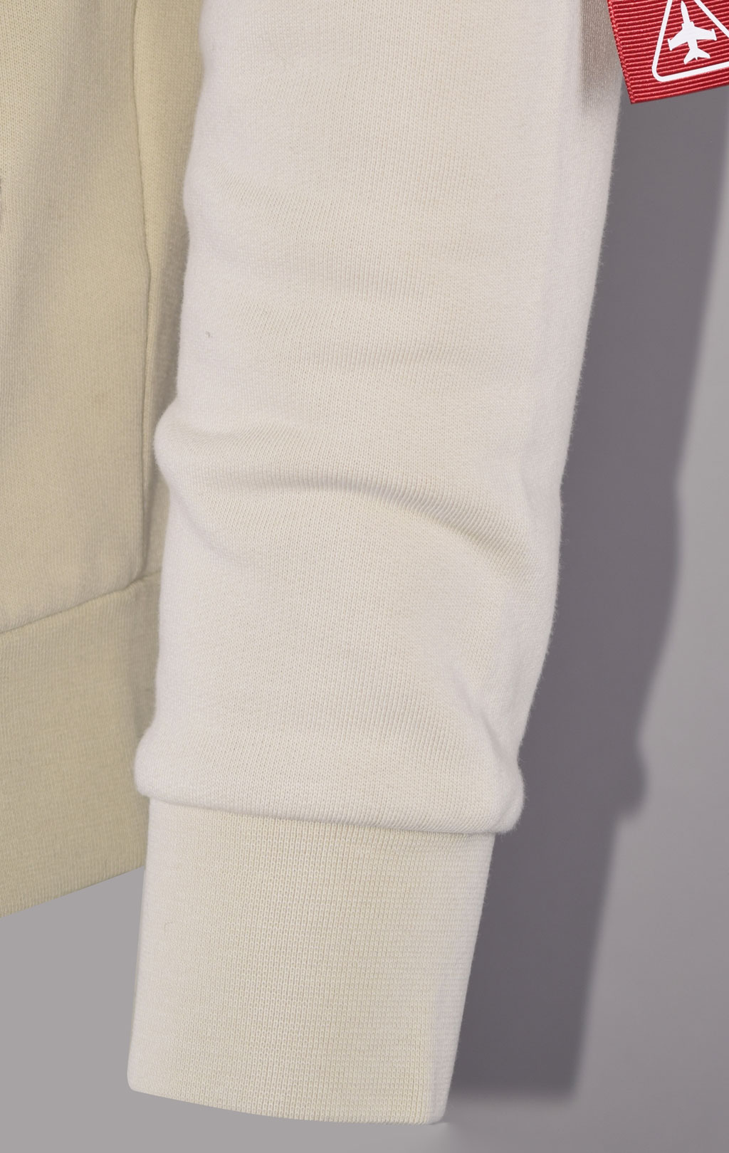 Толстовка с капюшоном AERONAUTICA MILITARE ANTARCTICA FW 23/24/TR ghiaccio (FE 1820) 