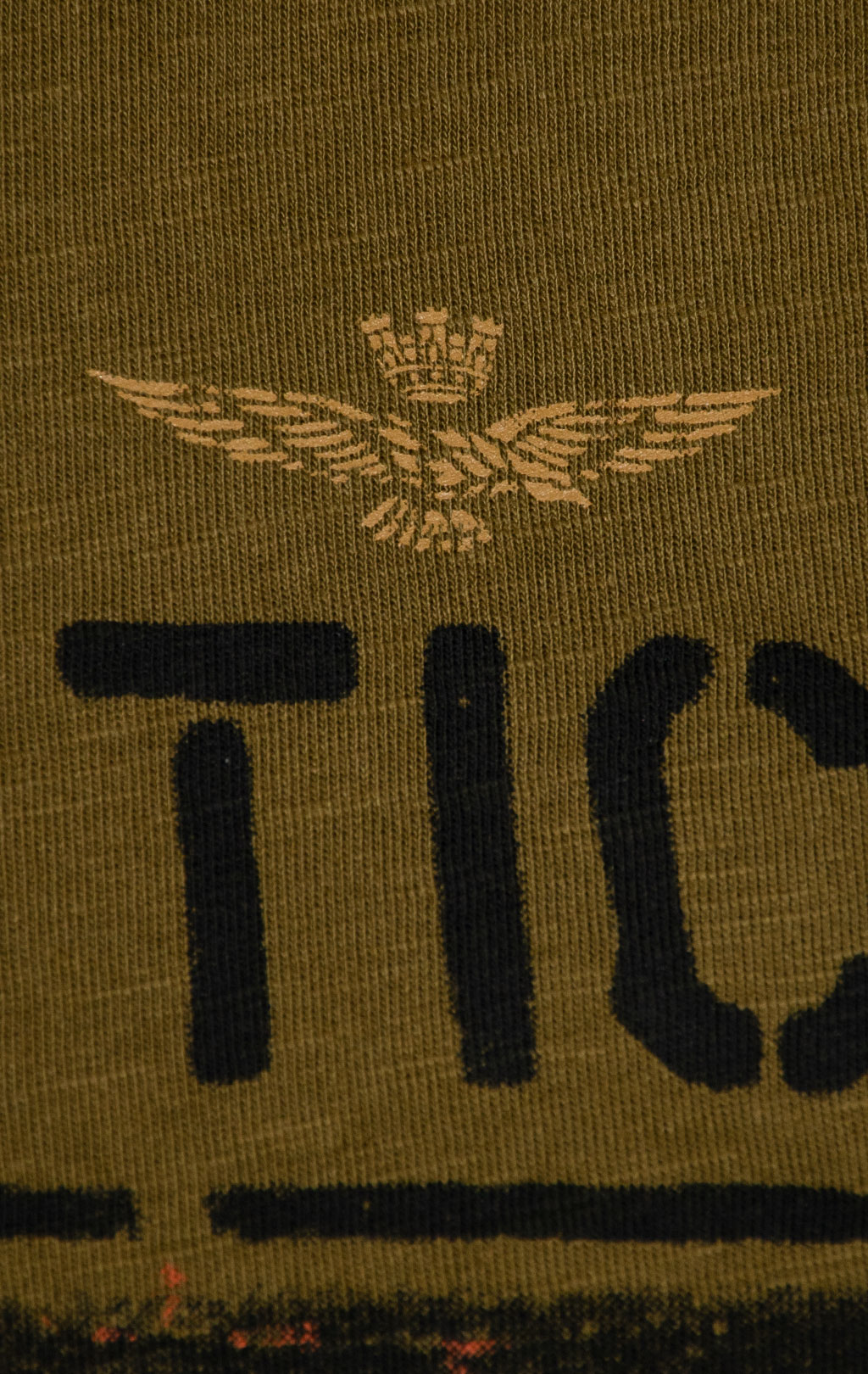 Лонгслив AERONAUTICA MILITARE FW 25/26/BD dark olive (TS 2486) 