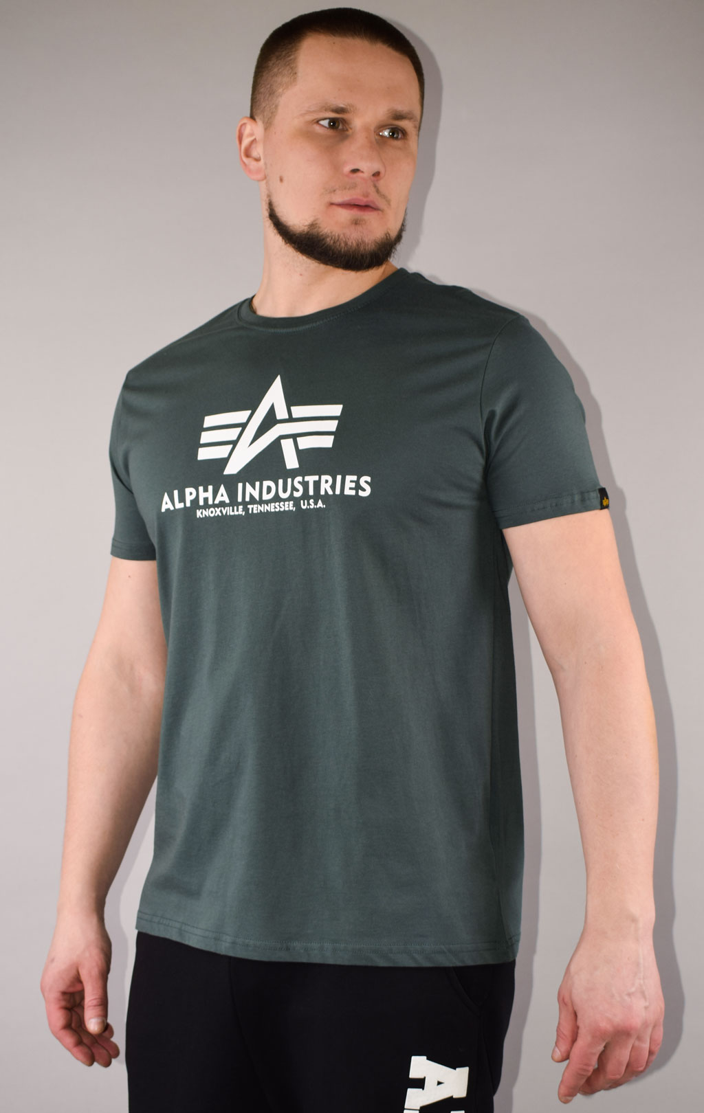 Футболка ALPHA INDUSTRIES BASIC T navy green 