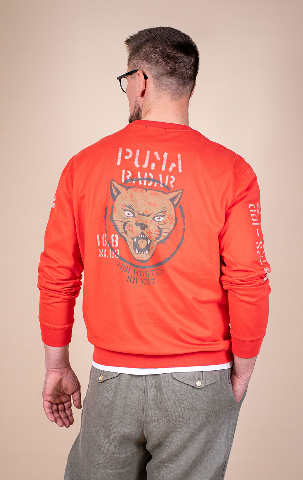 Свитшот AERONAUTICA MILITARE SS 26/TR paprika (FE 2099) 