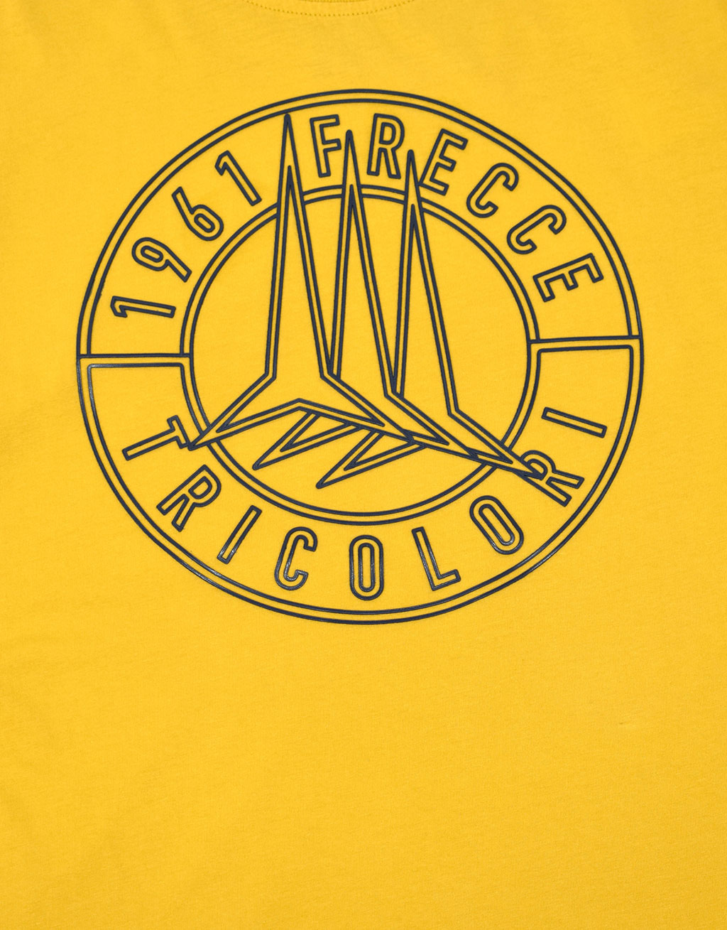 Футболка AERONAUTICA MILITARE SS 20 giallo (TS 1697) 