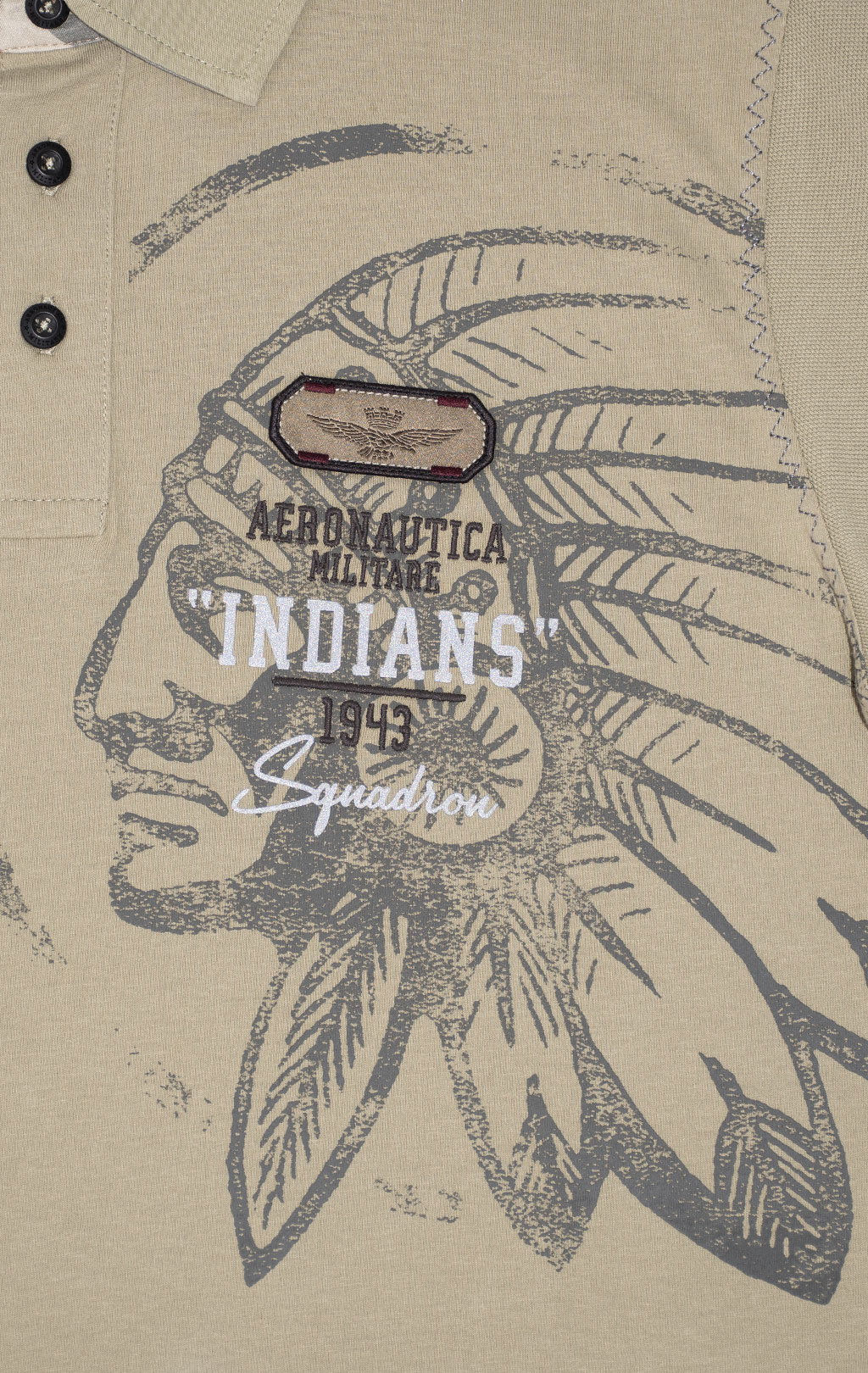 Футболка-поло AERONAUTICA MILITARE INDIAN PRINT SS 24 m/TR sage green (PO 1781) 