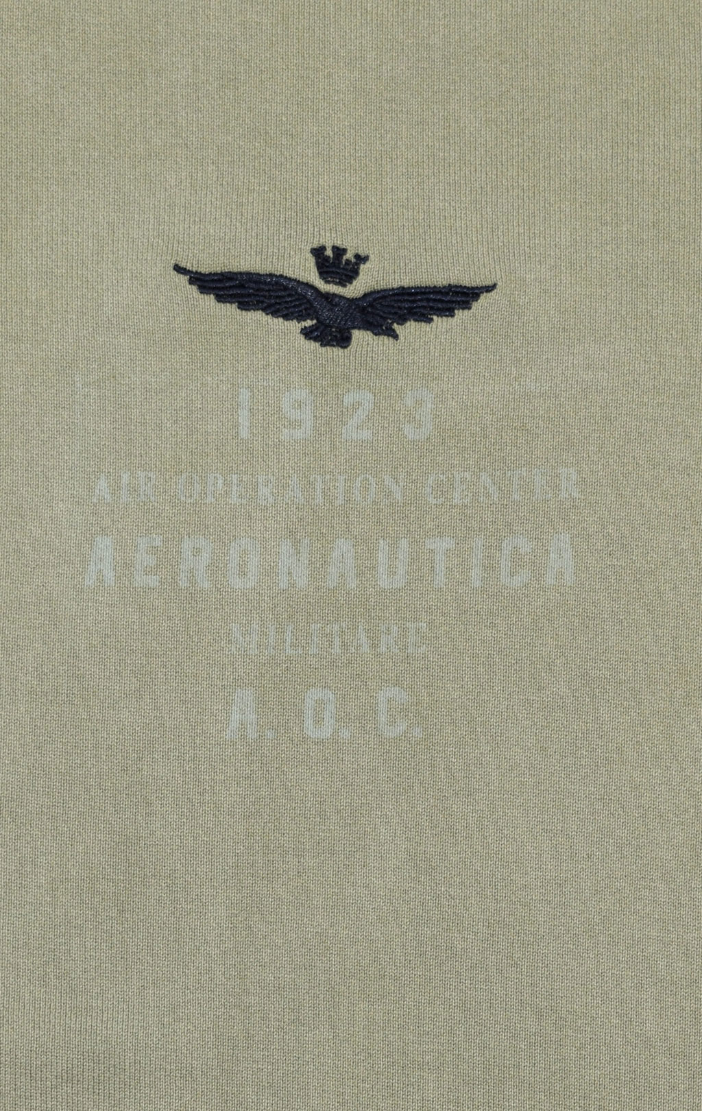 Толстовка с капюшоном AERONAUTICA MILITARE SS 21/IN green (FE 1574) 