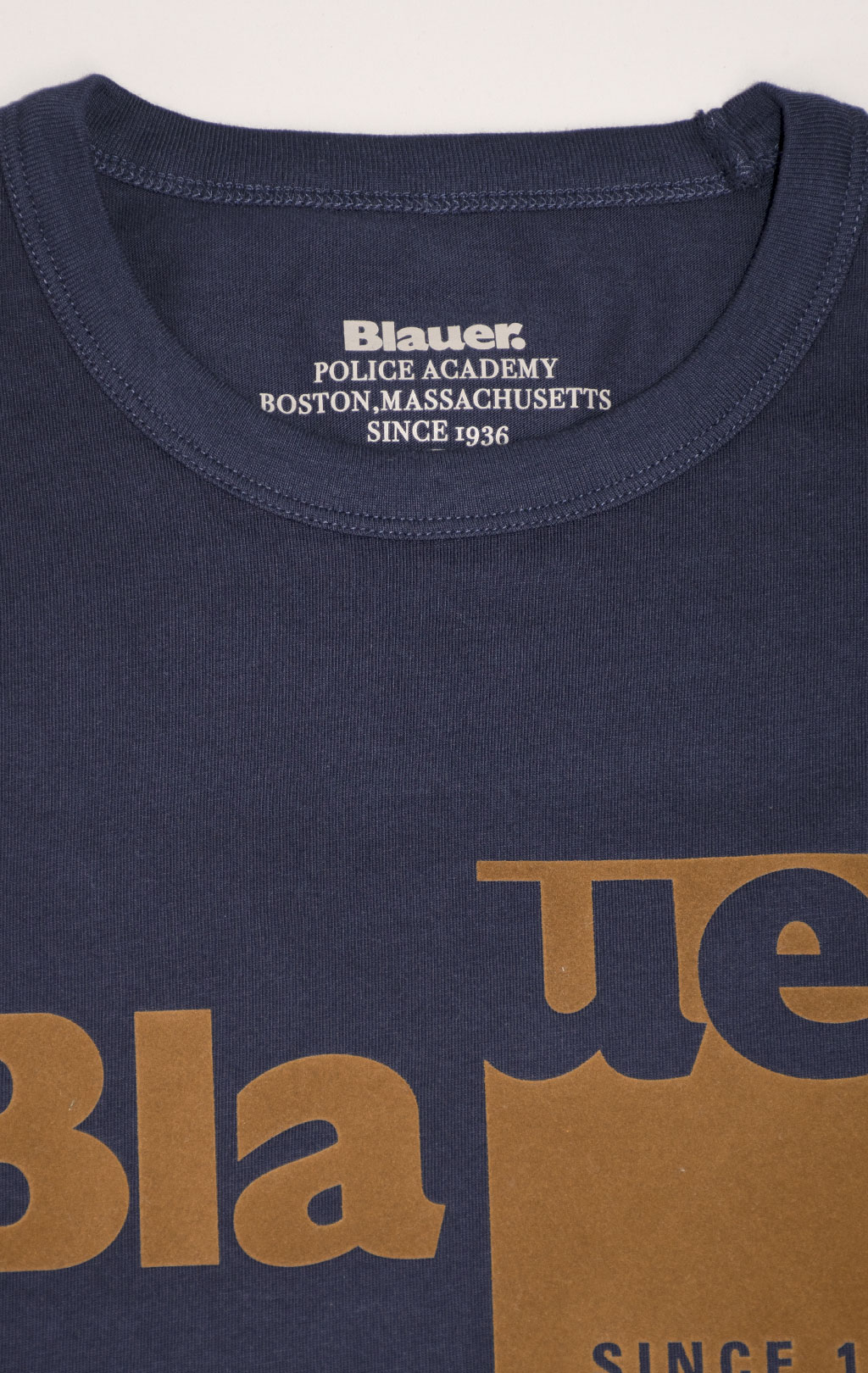 Футболка BLAUER GEORGE FW 24/25 blue (HO2224) 