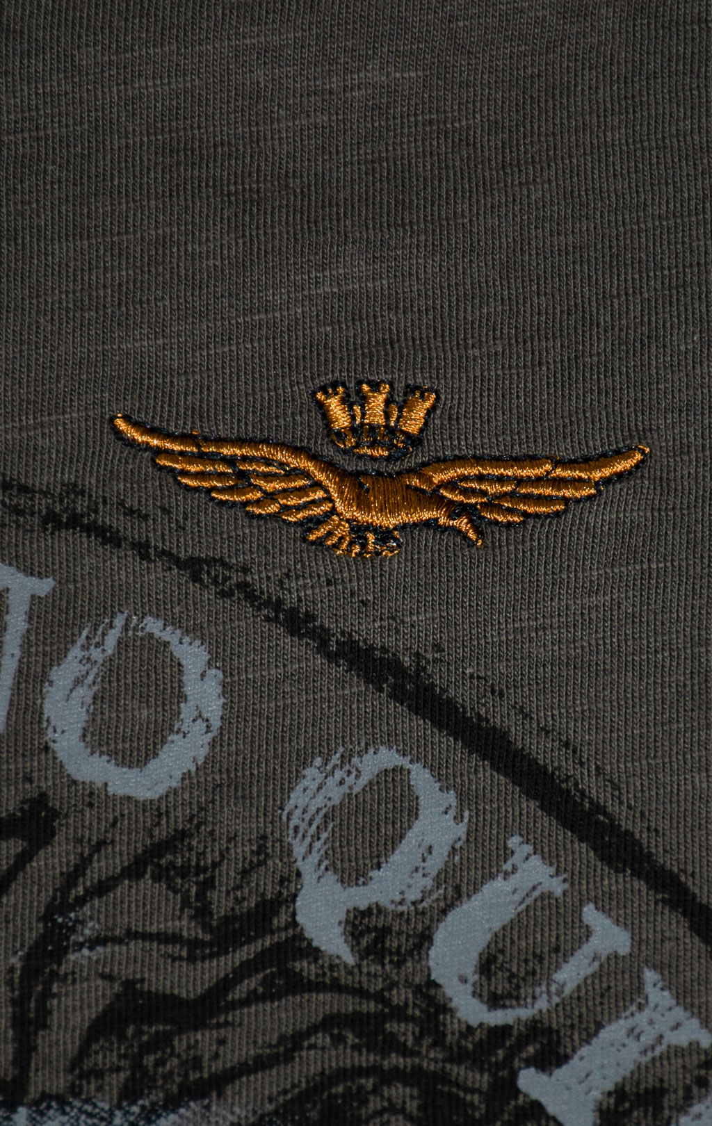 Лонгслив AERONAUTICA MILITARE FW 25/26/BD beluga grey (TS 2485) 