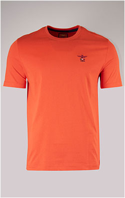 Футболка AERONAUTICA MILITARE FW 24/25/BD orange (TS 2301)