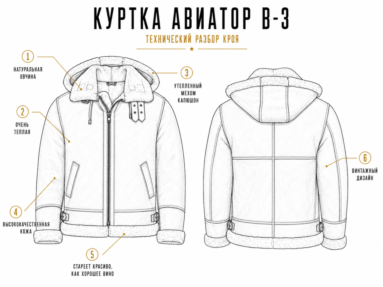 Инфографика - детали кроя куртки-авиатора из овчины. Лучшие мужские куртки на зиму 2026/27