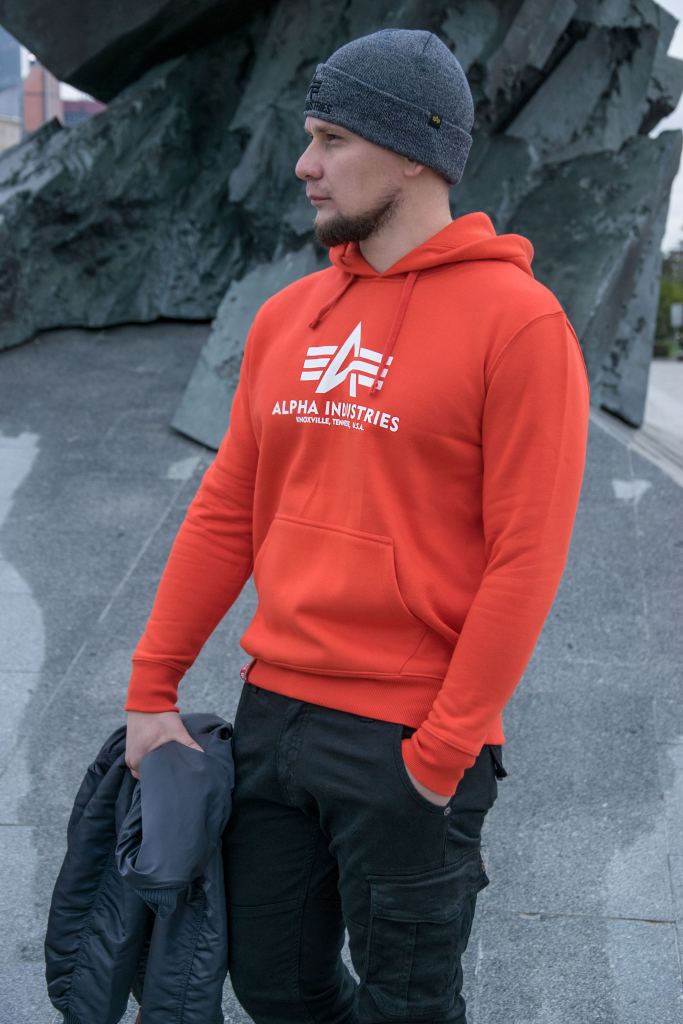 BASIC HOODY Alpha Industries