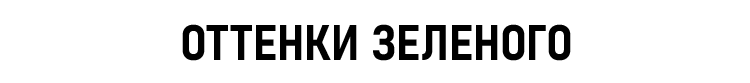 ОТТЕНКИ ЗЕЛЕНОГО