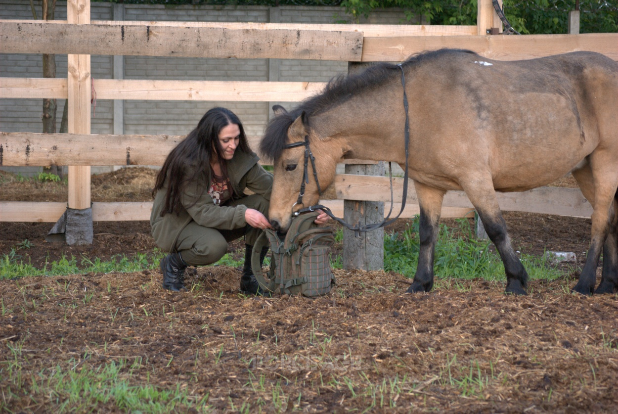 DSC_0174.jpg DSC_0174.jpg