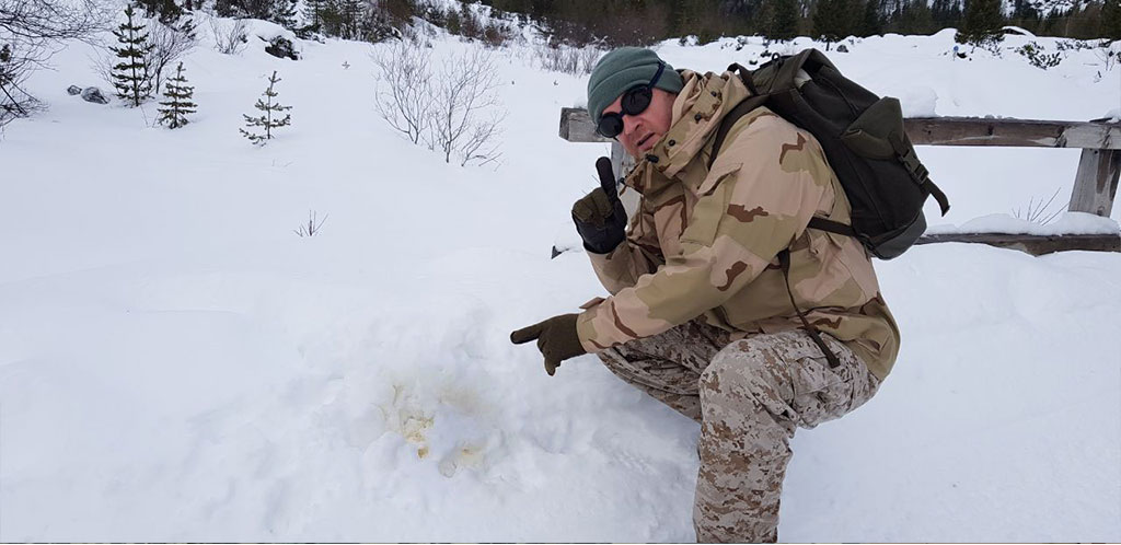 Куртка GORE-TEX DESERT-3 США. Главное правило лыжника и путешественника на снегоступах - не есть желтый снег!