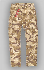 Брюки-карго ALPHA INDUSTRIES AGENT C desert camo